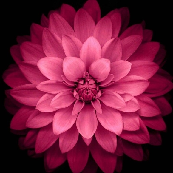 Meet your Posher, Sheryl - Picture 1 of 1